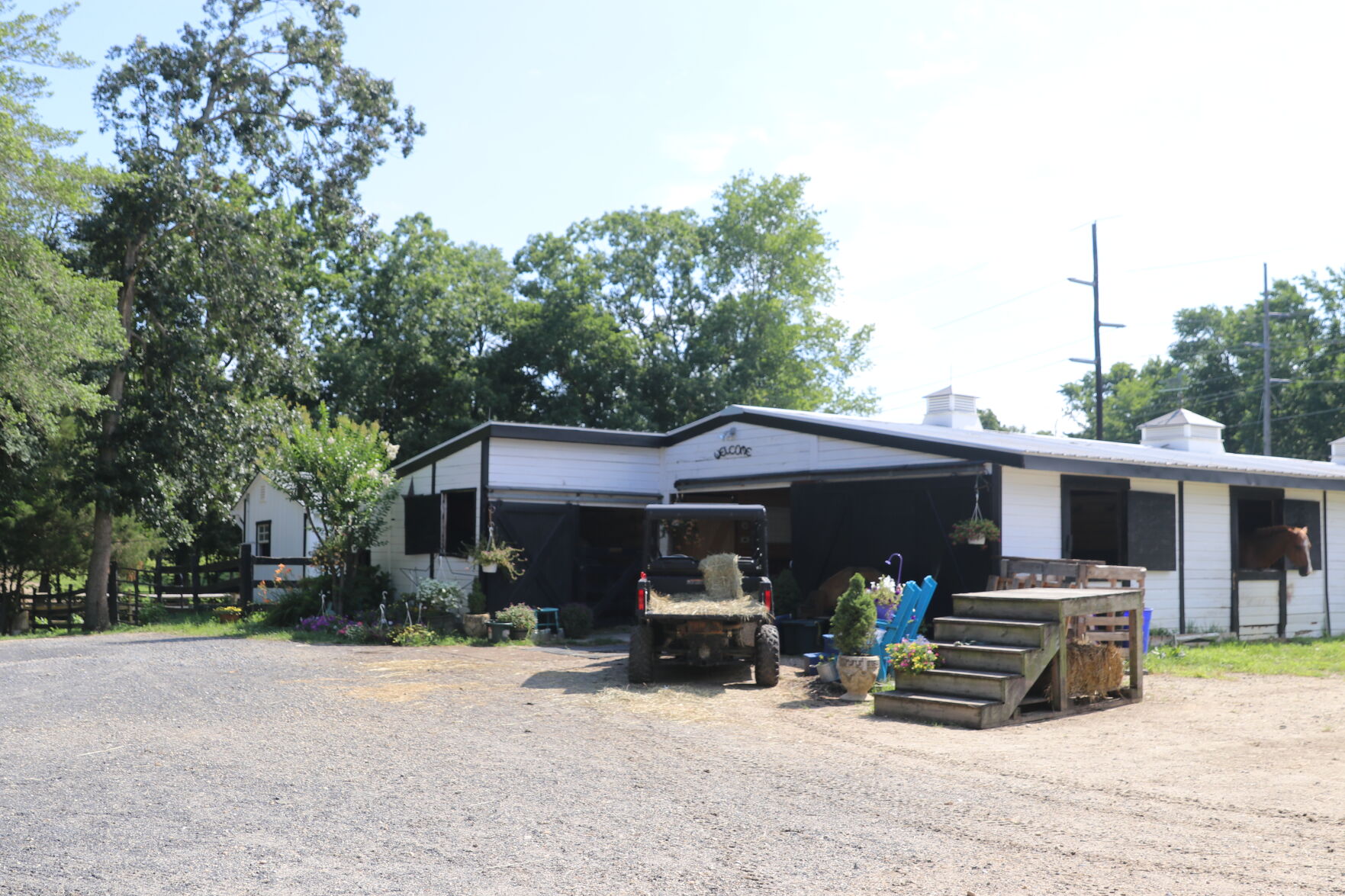071921-pac-nws-horses